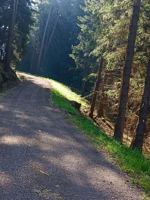 Einblicke in unsere Arbeit 4